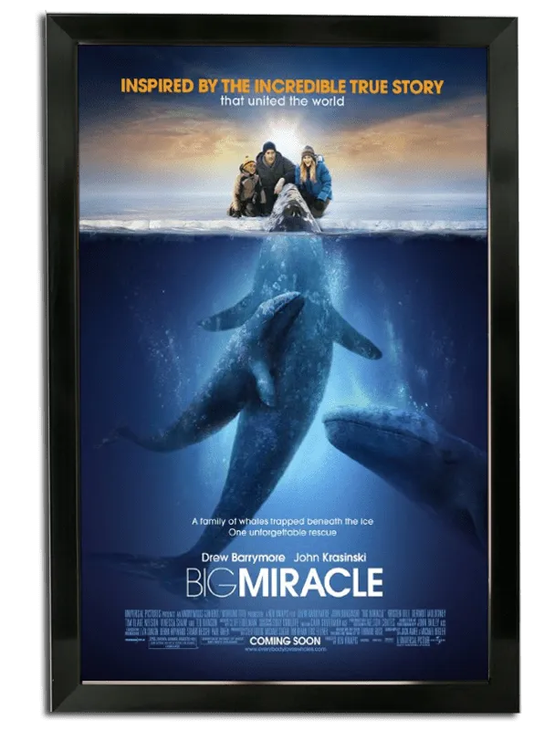 Bass Loc Movie Poster Frame