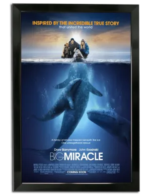 Bass Loc Movie Poster Frame