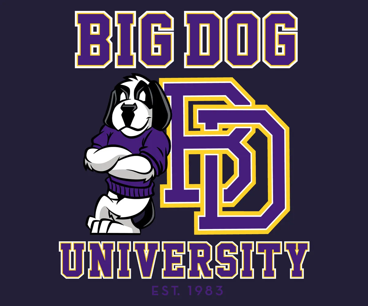 Bd University Purple Gold T-shirt