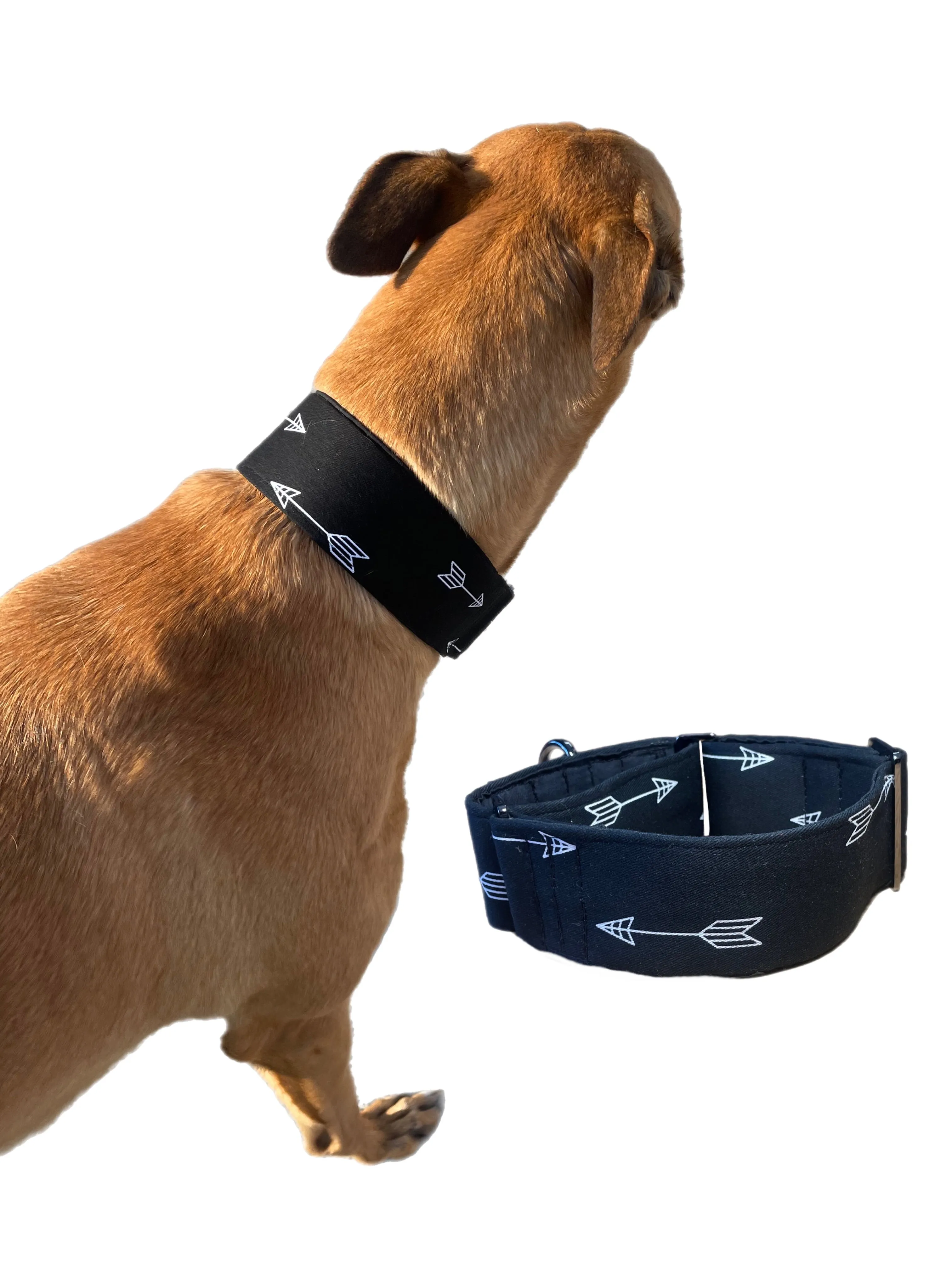 Black with arrows cotton covered greyhound Martingale collar 50mm width
