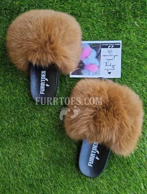 Brown Fluffies