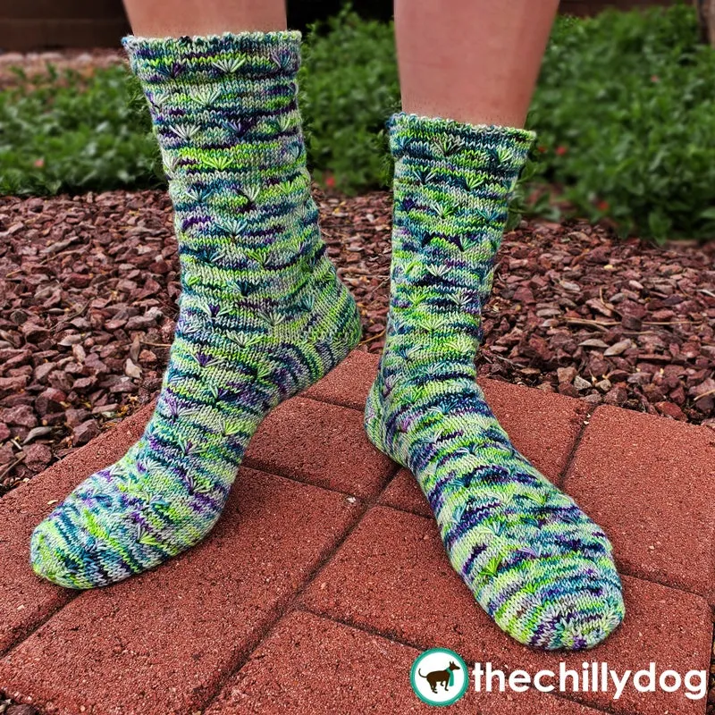Caretaker Socks: Knitting Pattern PDF