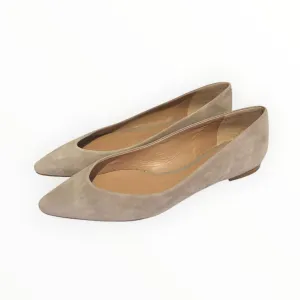Chloe Suede Pointed Ballet Flats - Dove Grey - Size 41