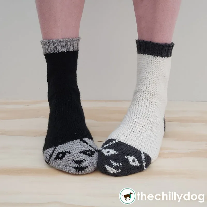 Ewe and Me Socks: Knitting Pattern PDF