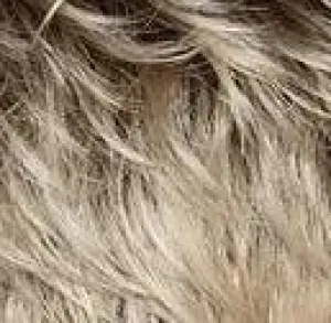 LUNA - Mid Flip Bob - lace front open wefting wig