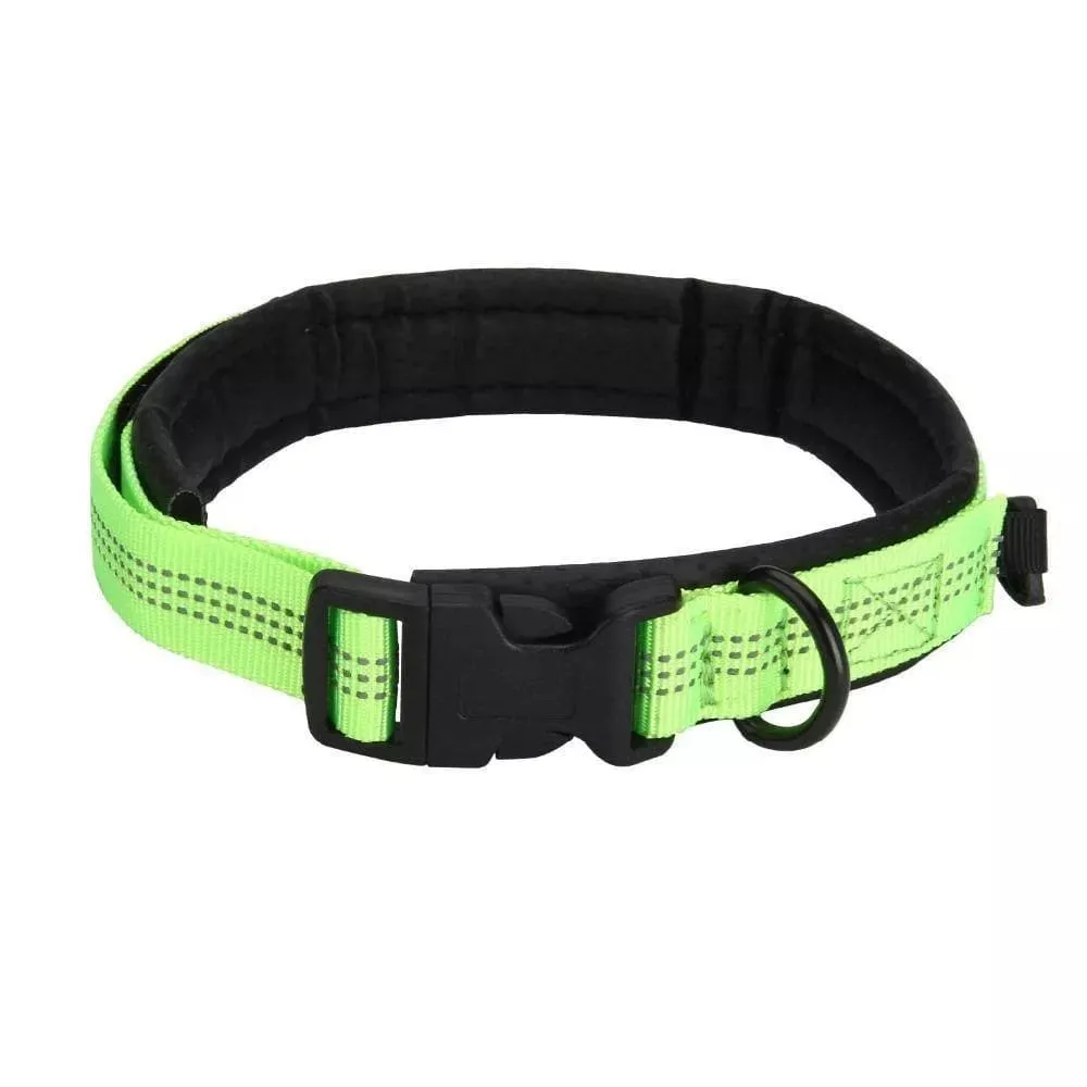 Neoprene Dog Collars