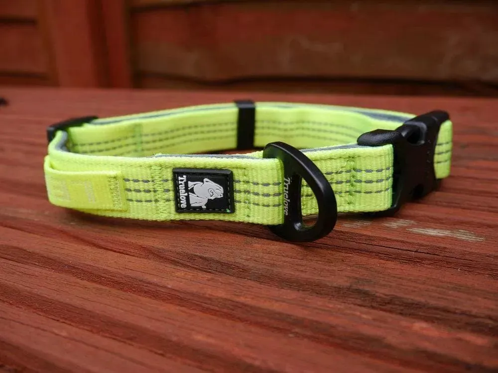 Neoprene Dog Collars