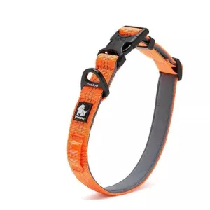 Neoprene Dog Collars