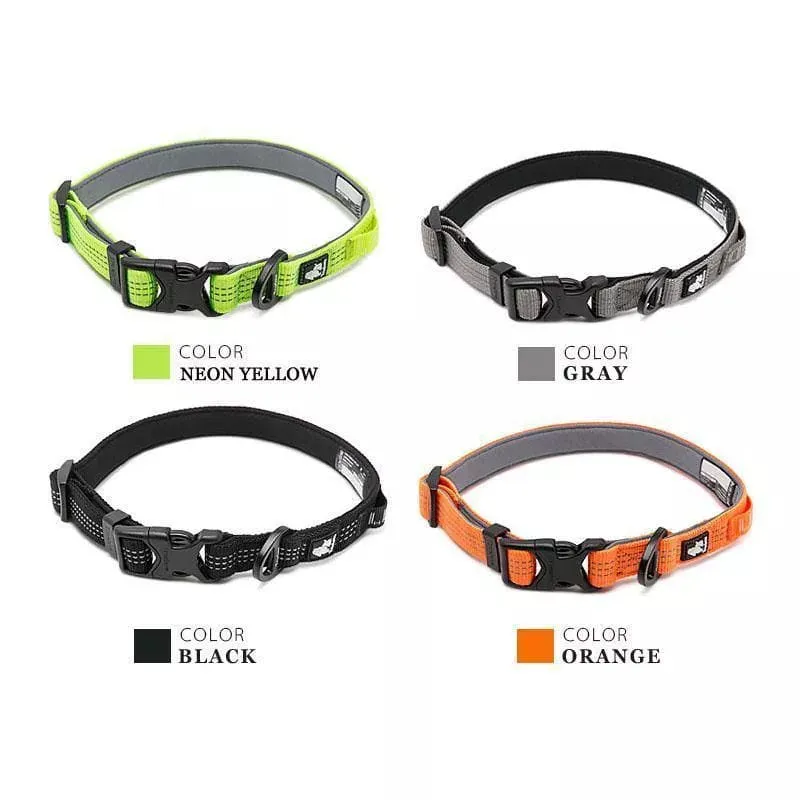 Neoprene Dog Collars
