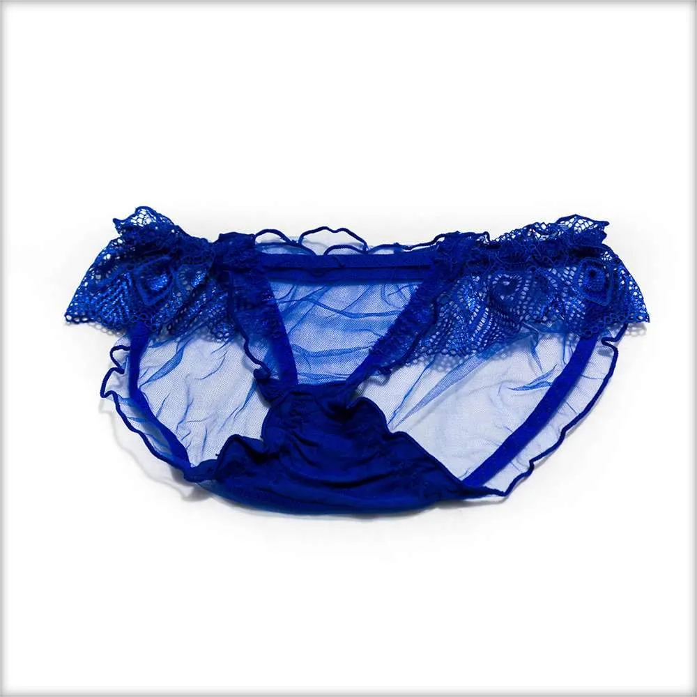 Net Transparent Sky Blue Panty