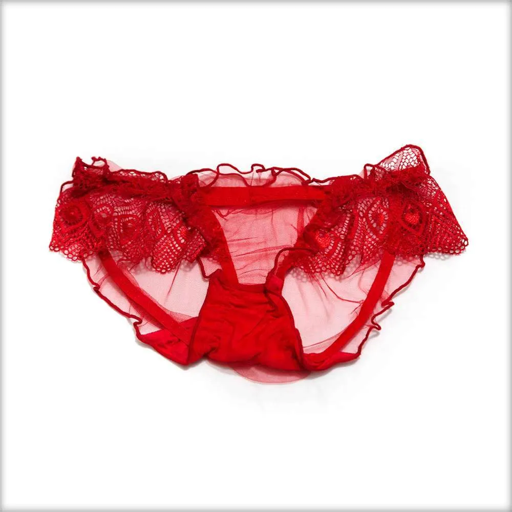 Net Transparent Sky Blue Panty