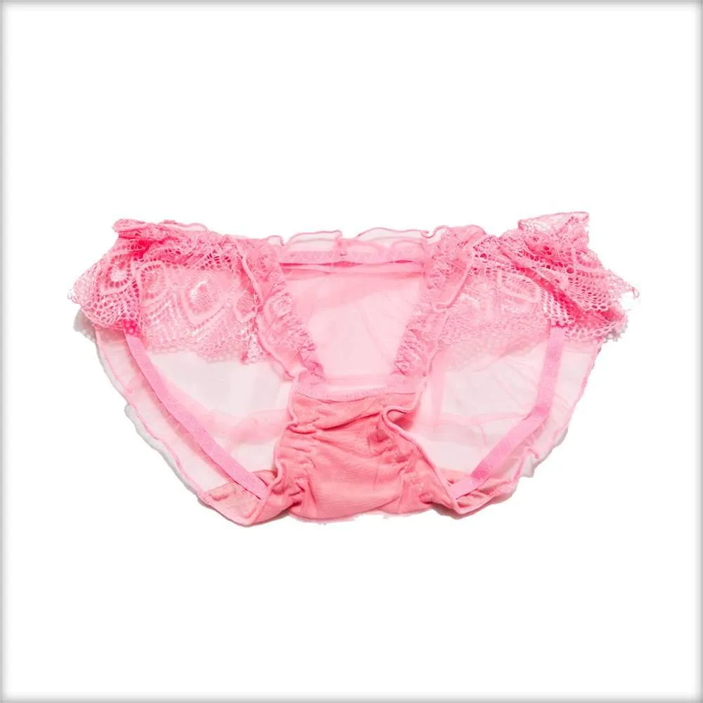 Net Transparent Sky Blue Panty
