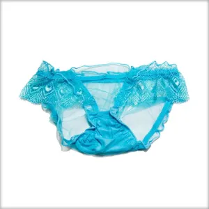Net Transparent Sky Blue Panty