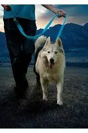 NiteDog LED Rechargeable Leash by Nite Ize