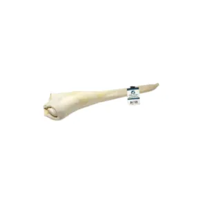Open Range Junior Bull Tail 14"-16"