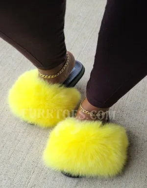 Sunshine Yellow Fluffies