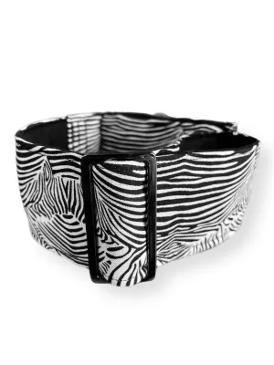 Zebra print b&w greyhound wide Martingale collar cotton covered super soft